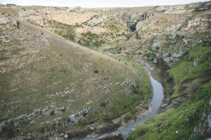fiume erba verde