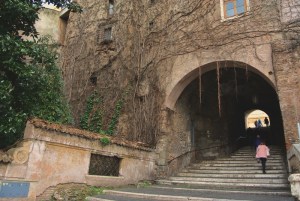 scale rampicanti signora