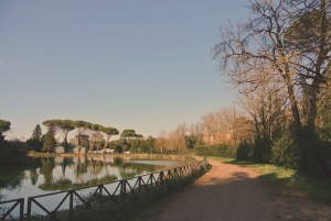 cielo azzurro alberi