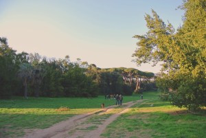 sentiero alberi cielo