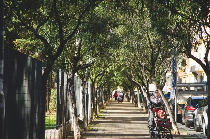 strada passeggino alberi