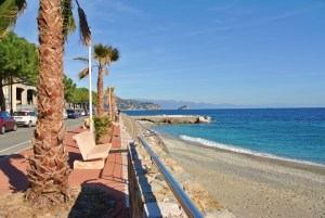 spiaggia mare palme